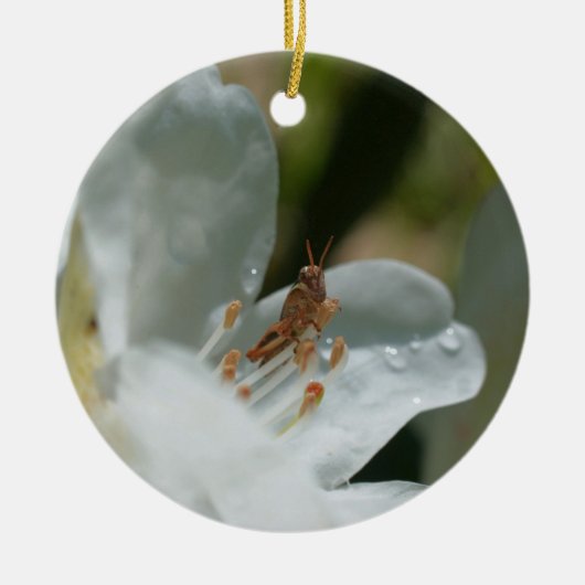 Grasshopper auf der Blume White Azalea Keramik Ornament (Vorne)