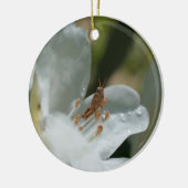 Grasshopper auf der Blume White Azalea Keramik Ornament (Links)