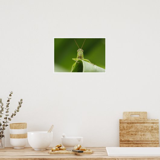 Grasshopper auf der Leaf-Nah-up Poster (Küche)