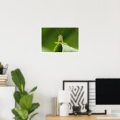 Grasshopper auf der Leaf-Nah-up Poster (Heimbüro)