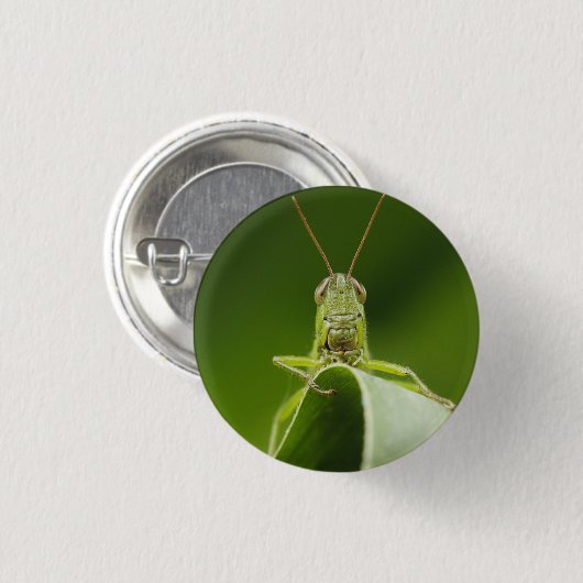 Grasshopper auf Leaf, Grasshopper-Gesicht Nah-up Button (Vorne & Hinten)