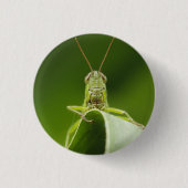 Grasshopper auf Leaf, Grasshopper-Gesicht Nah-up Button (Vorderseite)
