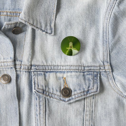 Grasshopper auf Leaf, Grasshopper-Gesicht Nah-up Button (Beispiel)