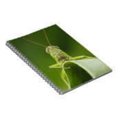 Grasshopper auf Leaf, Grasshopper-Gesicht Nah-up Notizblock (Rechte Seite)
