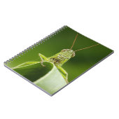Grasshopper auf Leaf, Grasshopper-Gesicht Nah-up Notizblock (Linke Seite)