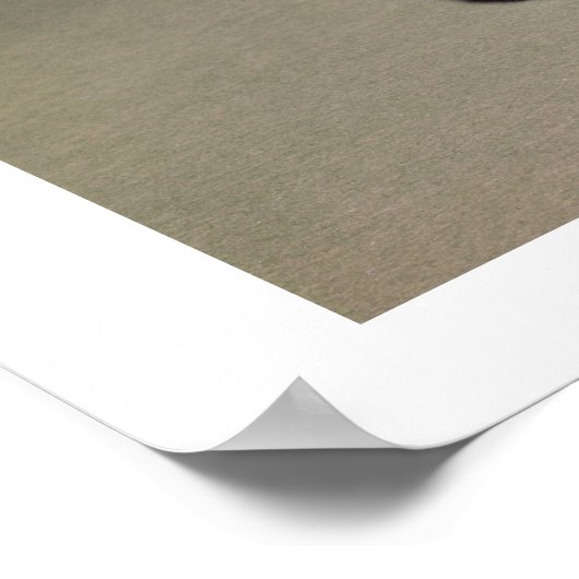 Grasshopper aus Chapultepec, Mexiko, c.1500 (Karre Poster (Ecke)