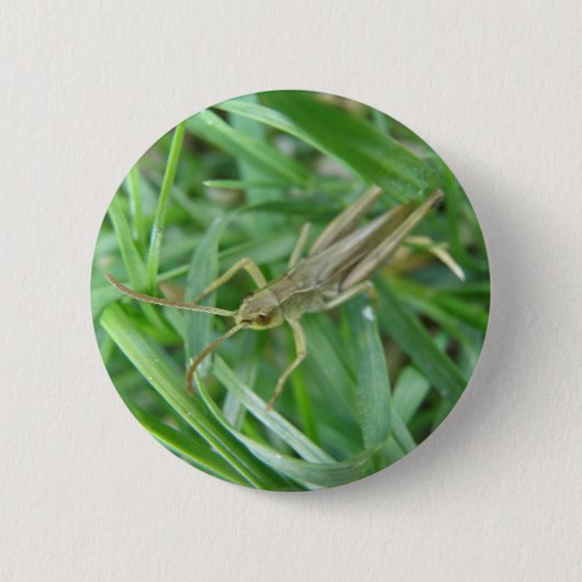 Grasshopper Button (Vorderseite)