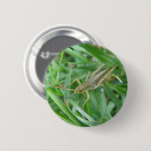 Grasshopper Button (Vorne & Hinten)