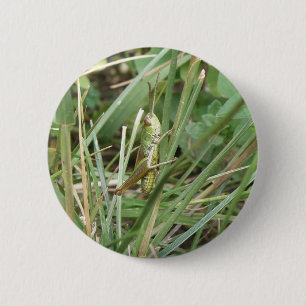 Grasshopper Camouflage Button