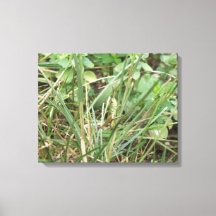 Grasshopper Camouflage Canvas Print Leinwanddruck
