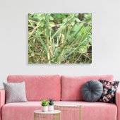 Grasshopper Camouflage Canvas Print Leinwanddruck (Insitu (Wohnzimmer))