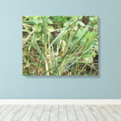Grasshopper Camouflage Canvas Print Leinwanddruck (Insitu (Holzboden))
