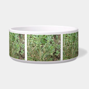 Grasshopper Camouflage Dog Bowl Napf