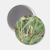 Grasshopper Camouflage Magnet (Vorderseite/Rückseite)