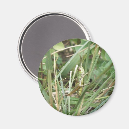 Grasshopper Camouflage Magnet (Vorderseite/Rückseite)