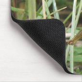 Grasshopper Camouflage Mousepad (Ecke)