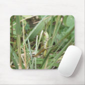 Grasshopper Camouflage Mousepad (Mit Mouse)