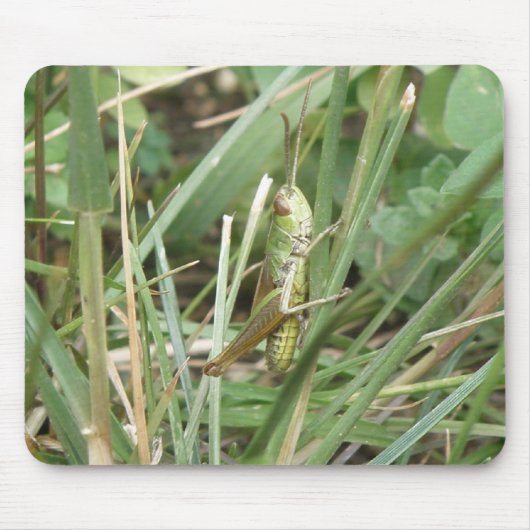 Grasshopper Camouflage Mousepad (Vorne)
