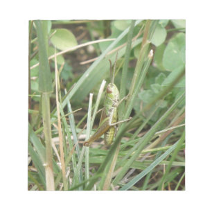 Grasshopper Camouflage Notepad Notizblock