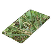 Grasshopper Camouflage Premium Magnet (Linke Seite)