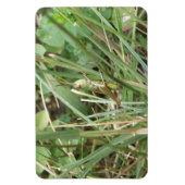 Grasshopper Camouflage Premium Magnet (Vertikal)