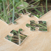 Grasshopper Camouflage Puzzle (Seite)