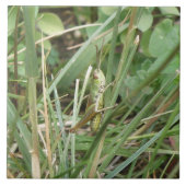 Grasshopper Camouflage Tile Fliese (Vorderseite)