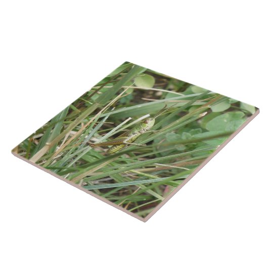 Grasshopper Camouflage Tile Fliese (Seite)