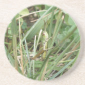 Grasshopper Camouflage Untersetzer (Vorne)