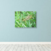 Grasshopper Canvas Print Leinwanddruck (Insitu (Holzboden))