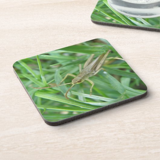 Grasshopper Cork Untersetzer (Linke Seite)