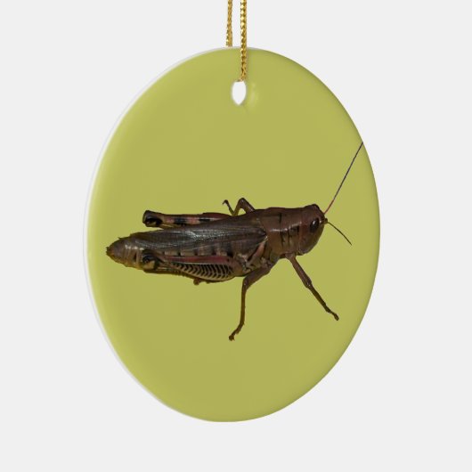 Grasshopper-Design Keramik Ornament (Rechts)