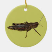 Grasshopper-Design Keramik Ornament (Vorne)