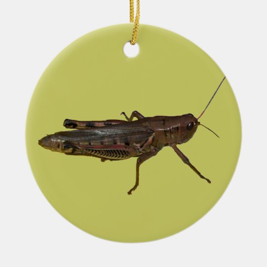 Grasshopper-Design Keramik Ornament (Vorne)