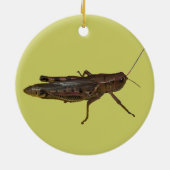 Grasshopper-Design Keramik Ornament (Hinten)