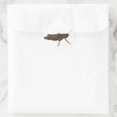 Grasshopper-Design Runder Aufkleber (Tasche)