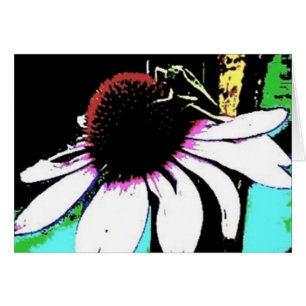 Grasshopper Echinacea Abstrakt