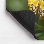 Grasshopper, Everglades National Park, Florida, Mousepad (Ecke)
