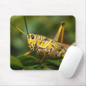 Grasshopper, Everglades National Park, Florida, Mousepad (Mit Mouse)