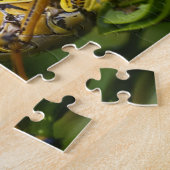 Grasshopper, Everglades National Park, Florida, Puzzle (Seite)
