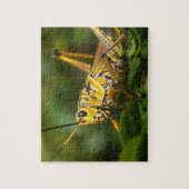 Grasshopper, Everglades National Park, Florida, Puzzle (Vertikal)