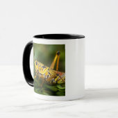 Grasshopper, Everglades National Park, Florida, Tasse (Vorderseite Links)