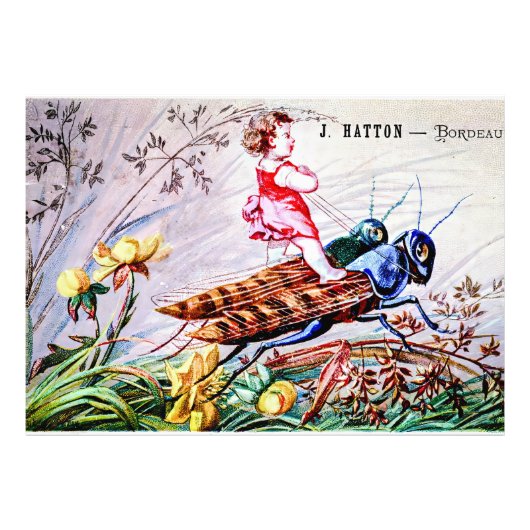 Grasshopper für Kinder Fotodruck (Vorne)