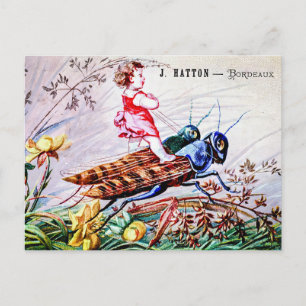 Grasshopper für Kinder Postkarte