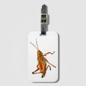 Grasshopper Gepäckanhänger (Vorderseite Vertikal)