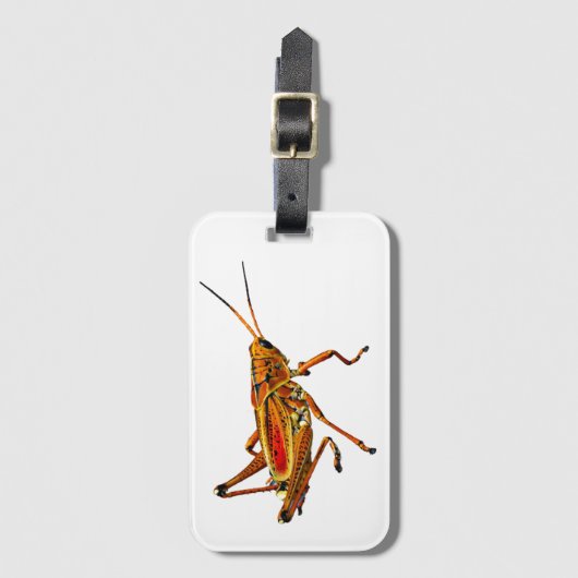 Grasshopper Gepäckanhänger (Vorderseite Vertikal)