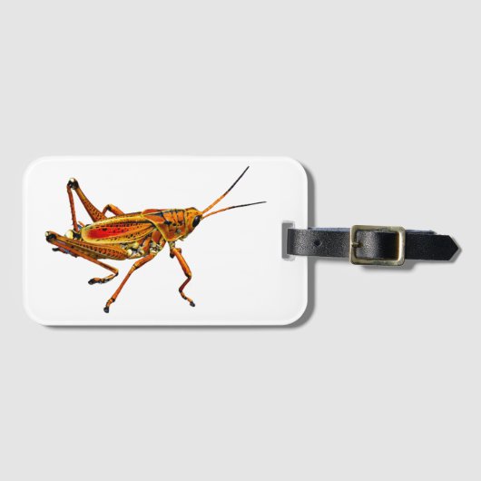 Grasshopper Gepäckanhänger (Vorderseite (Horizontal))