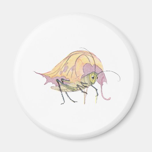 Grasshopper Grau mit Kruste Magnet (Vorne)