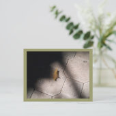 Grasshopper im Spotlight Postkarte (Stehend Vorderseite)