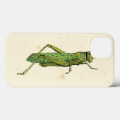 Grasshopper in der Printwerbung Case-Mate iPhone Hülle (Rückseite (Horizontal))